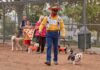 Dog Daze Canine Festival & Costume Contest to take place in Menifee Oct. 7