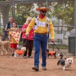 Dog Daze Canine Festival & Costume Contest to take place in Menifee Oct. 7