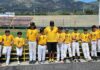 BRG offering youth baseball clinics in Lake Elsinore