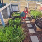 Father and son team clean up Minor Park