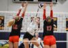 Eagles soar past Elsinore in Ivy league volleyball matchup