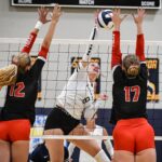 Eagles soar past Elsinore in Ivy league volleyball matchup