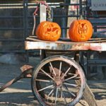 Farmy Farms celebrates Halloween with spooky fundraiser events