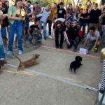 Temecula rookie crushes foes in his debut race at Temecula Fall Wiener Fest