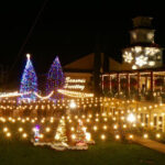 Thanksgiving among the vines and outdoor tree lighting ceremony coming to South Coast Winery Resort & Spa