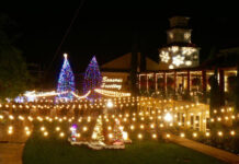 Thanksgiving among the vines and outdoor tree lighting ceremony coming to South Coast Winery Resort & Spa