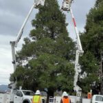 Anza Community Hall announces holiday events