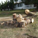 Understanding firewood benefits Anza residents this winter