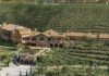 Europa Village uncorks newest winery in collection, Vienza