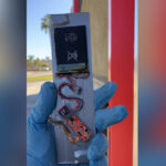 Riverside County urges residents to report stolen food benefits