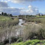 Temecula homeowners association discusses the adoption of stormwater trading
