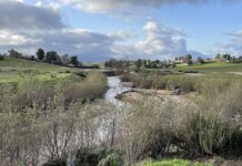 Temecula homeowners association discusses the adoption of stormwater trading