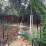 Take gardening into the New Year 2024