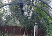 Take gardening into the New Year 2024