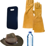 Rose Care FUNdamentals February, 2024