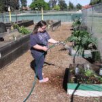 Cultivating Inclusion Farm nurtures growth and opportunities for individuals with special needs
