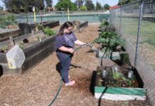 Cultivating Inclusion Farm nurtures growth and opportunities for individuals with special needs