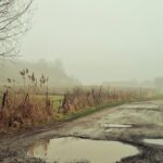 More rain means more mudflow