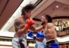 Resurgence of local boxing hits Soboba with knockout night from Punches and Punchlines