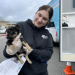 Riverside County Animal Services works with transfer partner to give shelter pets a new life