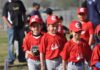 High Country Recreation seeks volunteers for 2024 Little League season