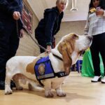 French Valley residents enjoy a community fair at Rancho Bella Vista Park