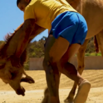 PETA Sets Sights On ‘Illegal Roadside Zoo’ And Its Owner