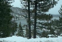 San Bernardino National Forest Seeks Concessionaire For Campgrounds, Day Use Sites