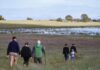 Santa Rosa Plateau Vernal Pools are full following winter storms