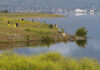 Hundreds take to Lake Elsinore levee shoreline for annual cleanup