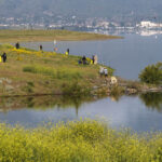 Hundreds take to Lake Elsinore levee shoreline for annual cleanup