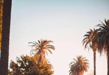 Vehicle thefts surge nationwide to new high in 2023