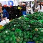 Visitors ‘guac’ on down to the Fallbrook Avocado Festival
