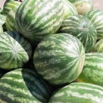 High Country Conservancy to host How to Farmers Market event May 30