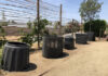 Free Composting and Make Your Own Worm Bin class on Saturday in Moreno Valley