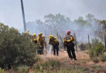 Back to back brush fires alarm Anza residents