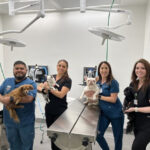 New surgery suite debuts at Coachella Valley shelter