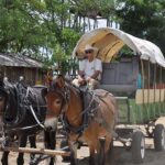 Hamilton Museum to host Volunteer and Member Appreciation Dinner June 17
