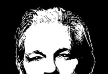 Julian Assange reaches plea agreement with US