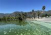 Residents, visitors warned to stay out of Lake Elsinore due to toxic blue-green algae blooms