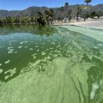 Residents, visitors warned to stay out of Lake Elsinore due to toxic blue-green algae blooms