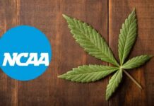 NCAA lifts ban on cannabis use for athletes in championships
