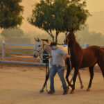 Anza residents should make plans to evacuate in case of a wildland fire