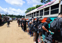 Fearing new Panama president will block key route to US, migrants flood Darién Gap