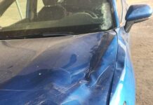 Horses running on Aguanga highway collide with car