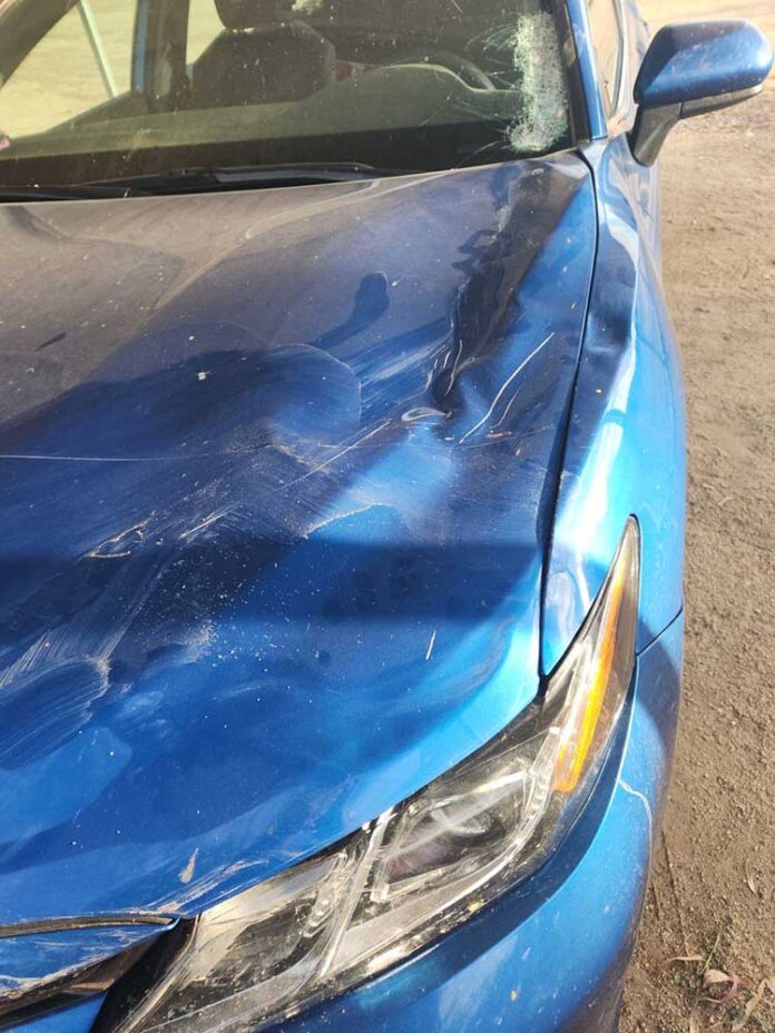 07-26-24-ANZA-Horse running on Aguanga highway collides with car-Cphotos-1