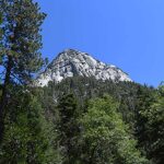 New conservation strategy released to protect montane forests in Southern California