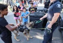 Community gathers in Murrieta for National Night Out