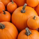 4th annual pumpkin drive to benefit sanctuary animals hosted by Temecula Mama