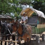 Hamilton Museum Founders Day celebration to honor Lincoln and Louise Hamilton